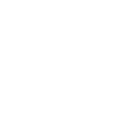 Icon - White clock symbol inside a white circle